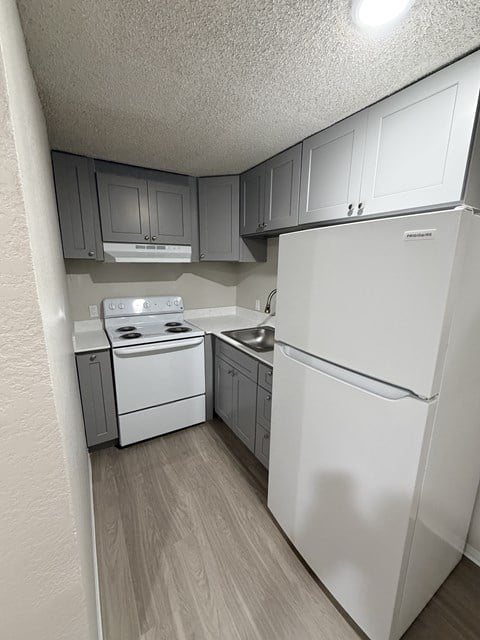 Floor plan for 2 beds, 1 bath, 572 sqft